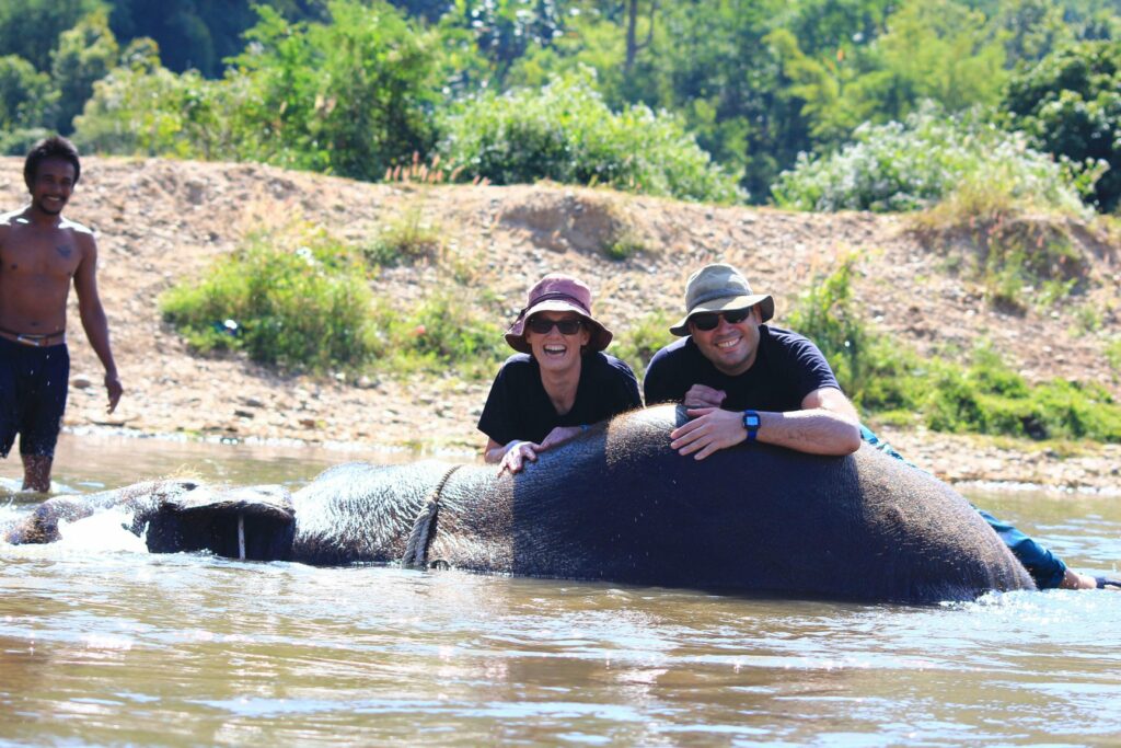 Mae Teng: Woody Elephant Training