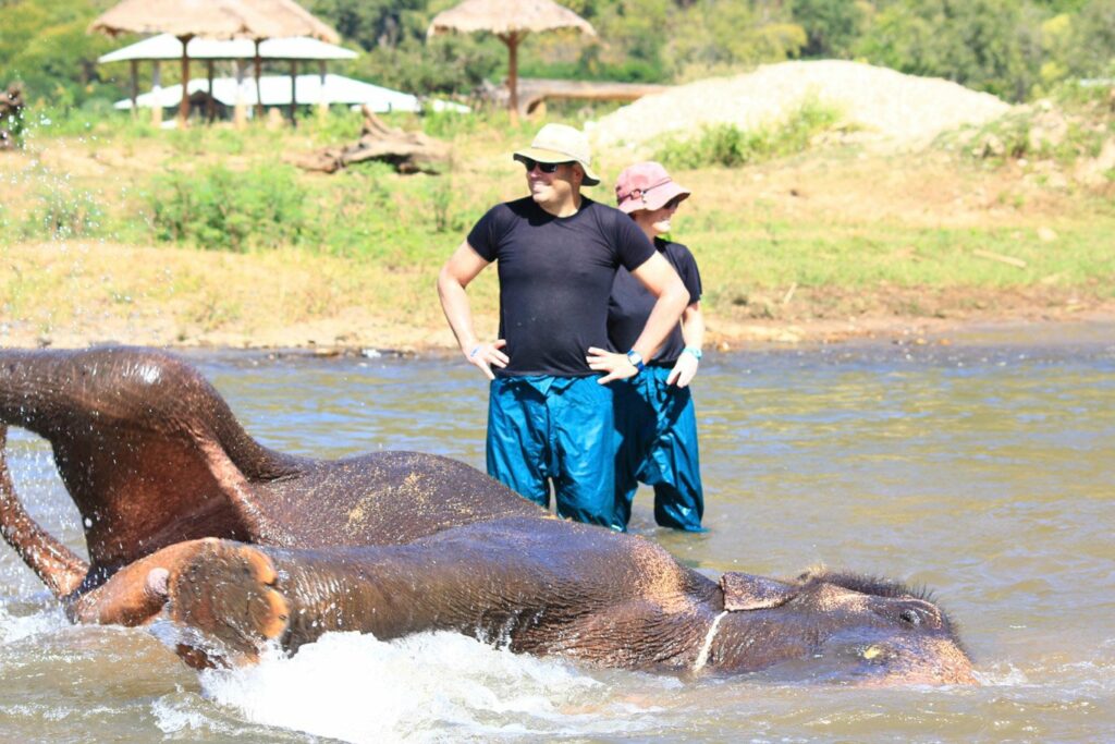 Mae Teng: Dumbo a l'air d'apprécier la séance de massage prodiguée par Miss V et Mister J