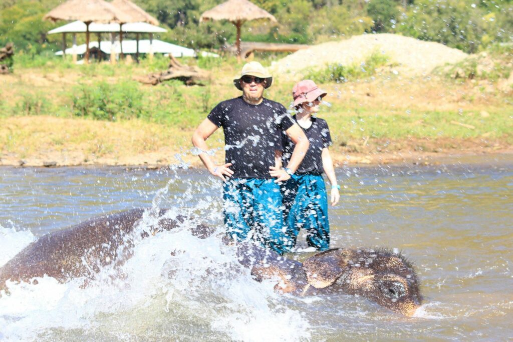 Mae Teng: Woody Elephant Training