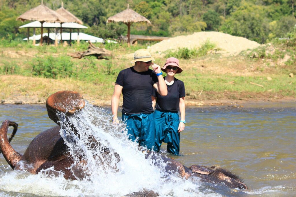 Mae Teng: Woody Elephant Training