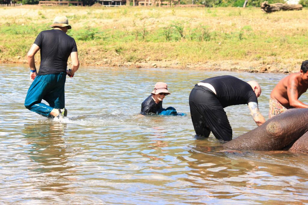 Mae Teng: il n'y a pas que les éléphants qui prennent leur bain!