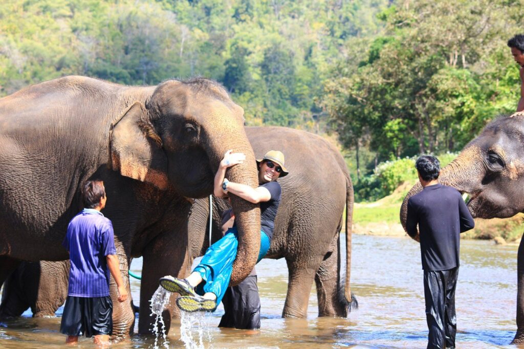 Mae Teng: Woody Elephant Training