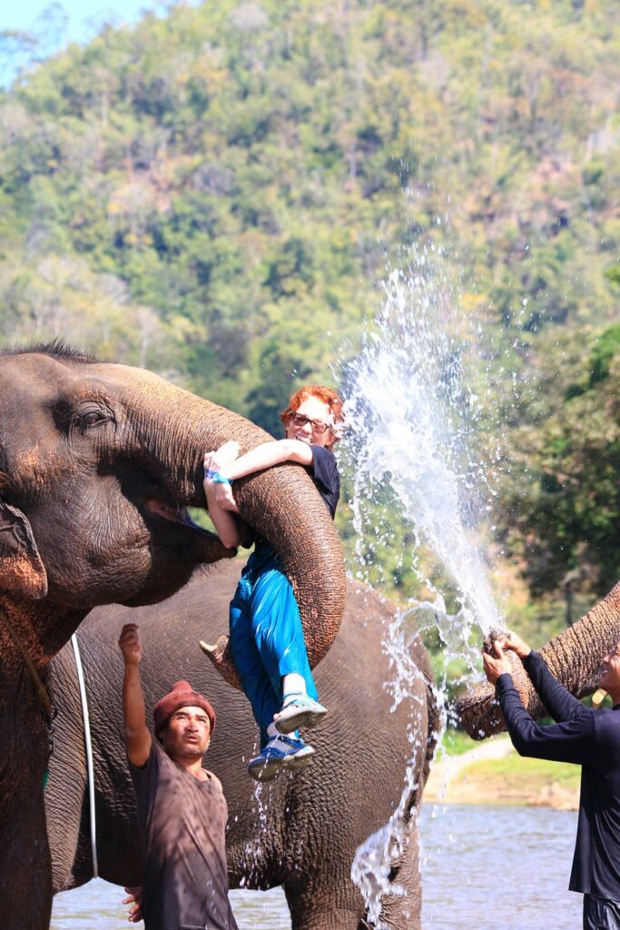 Mae Teng: Woody Elephant Training