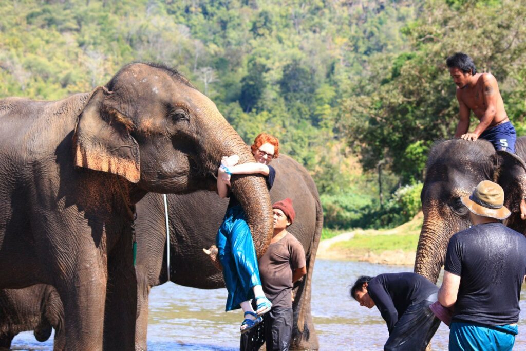 Mae Teng: Woody Elephant Training