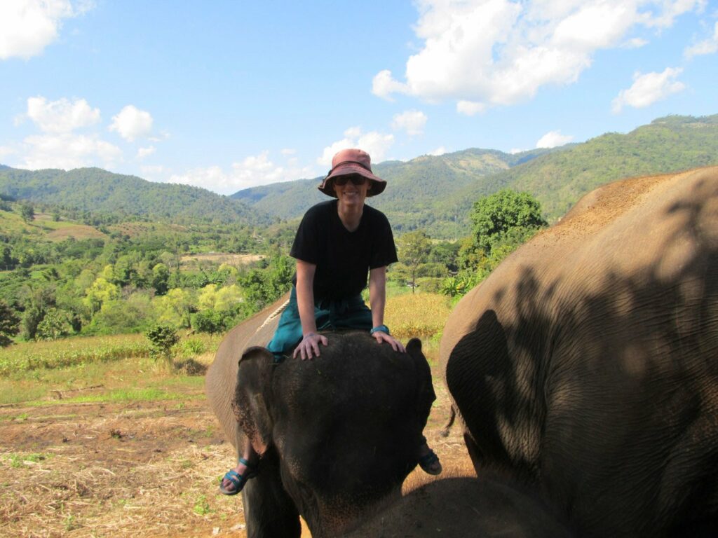 Mae Teng: Woody Elephant Training