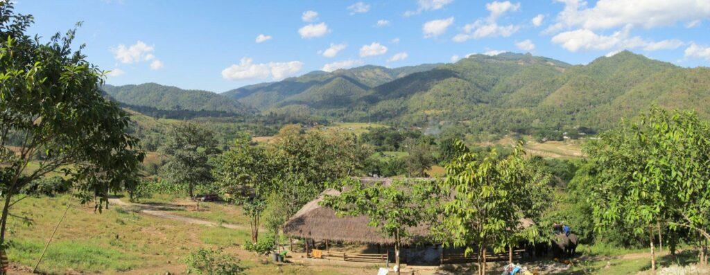 Mae Teng: Woody Elephant Training