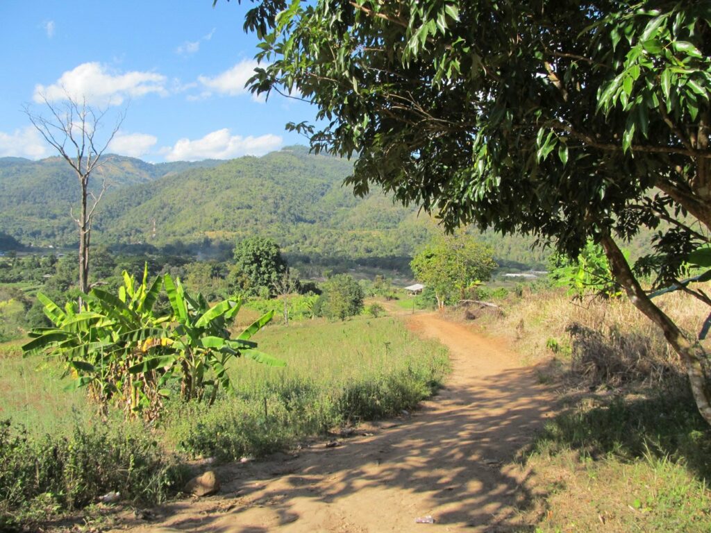 Mae Teng: Woody Elephant Training