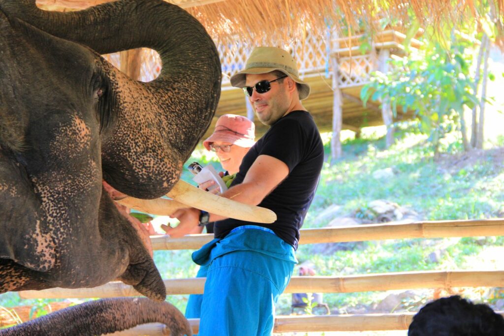 Mae Teng: Woody Elephant Training
