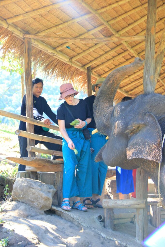 Mae Teng: Woody Elephant Training